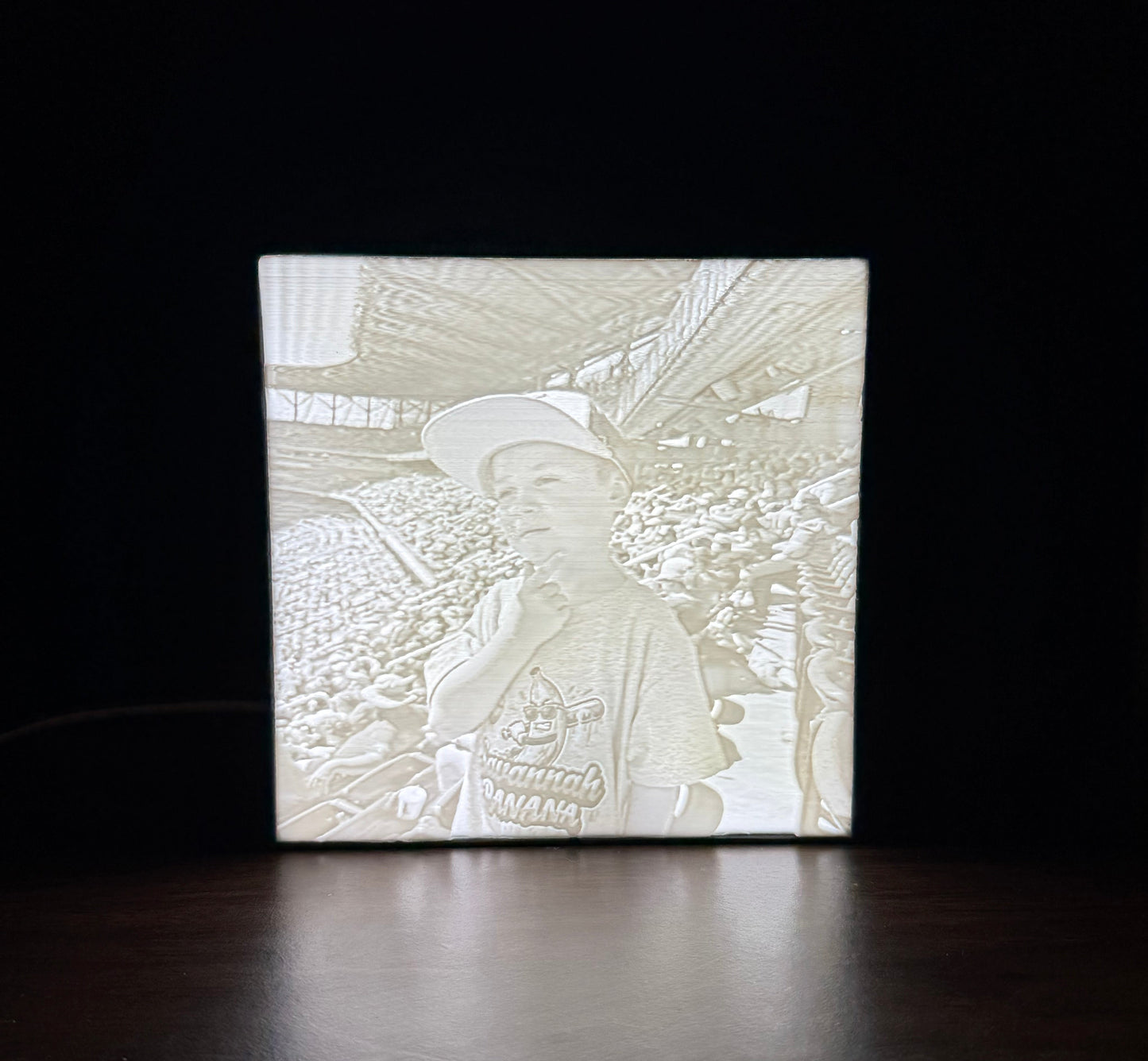 CUSTOM 3D Printed Light Boxes