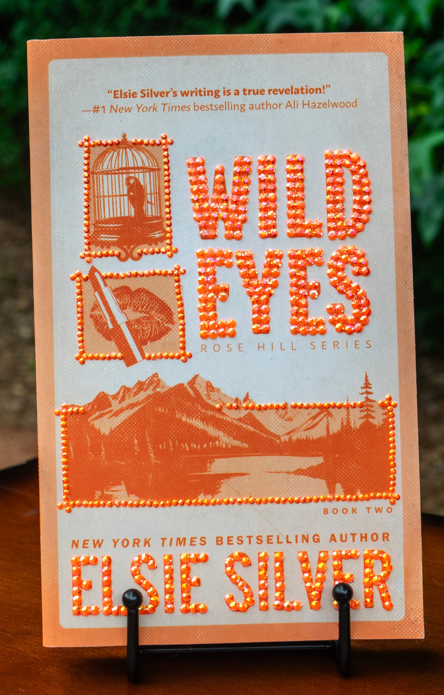 Bedazzled Wild Eyes by Elsie Silver