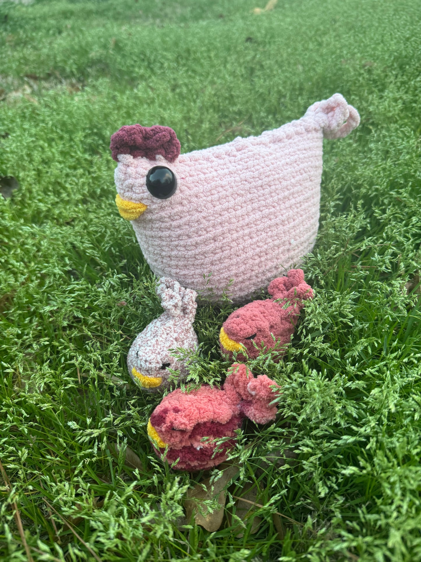 Chunky Chicken