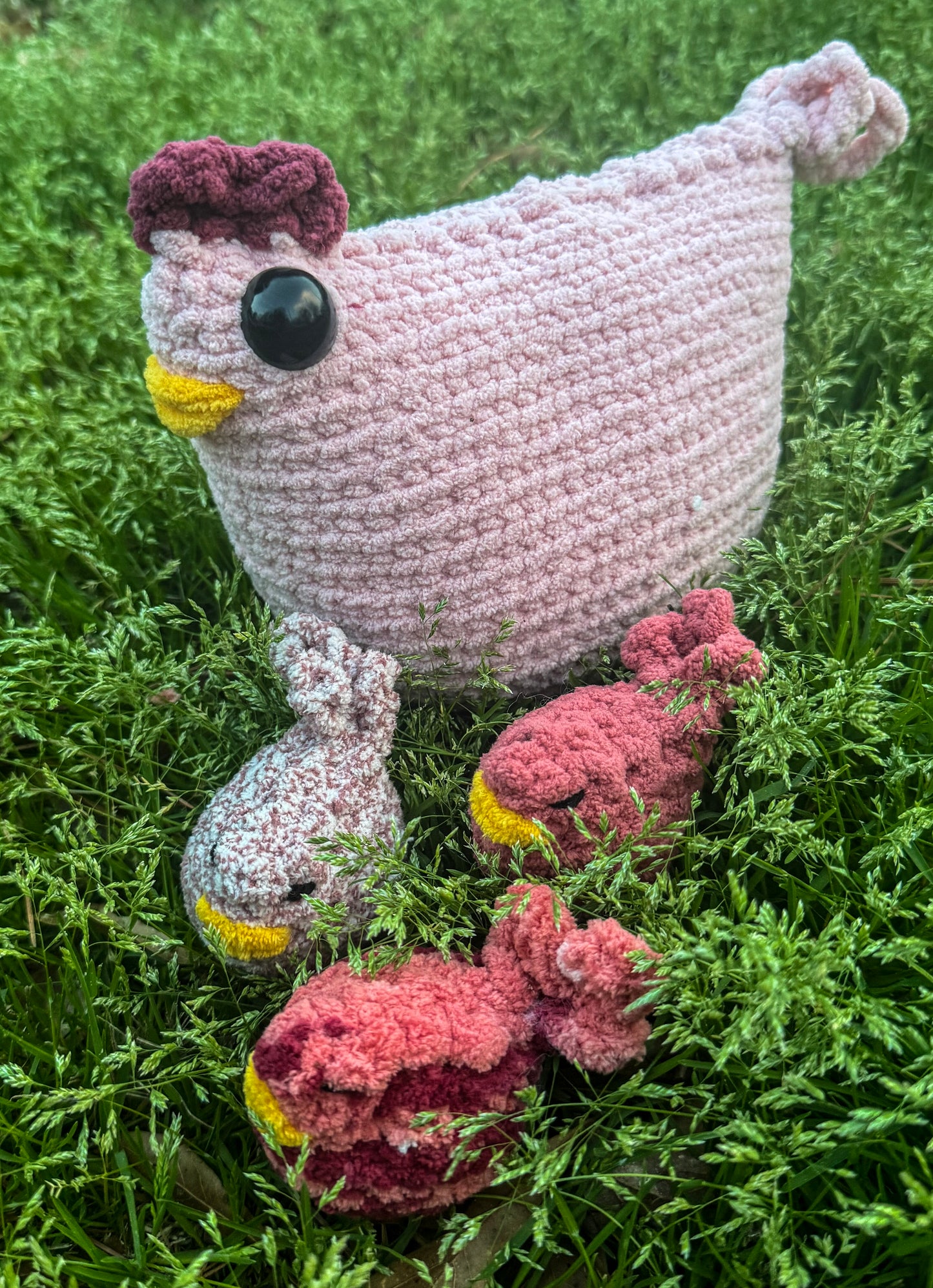 Chunky Chicken